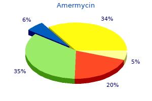 amermycin 200 mg order amex